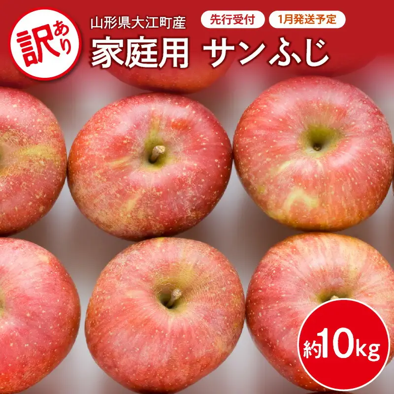《先行受付》【2027年1月発送予定】 訳あり 家庭用サンふじ約10kg 【大江町産・山形りんご・大地農産】 028-028
