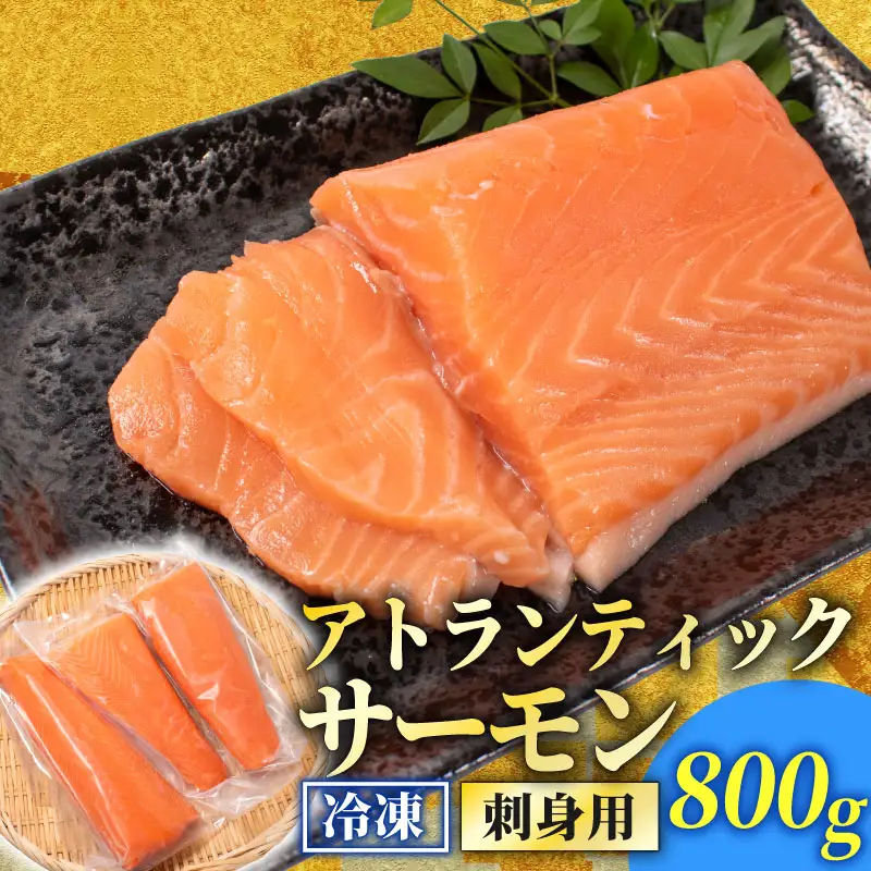 訳あり サーモン[800g] 冷凍 鮭 しゃけ さーもん EY