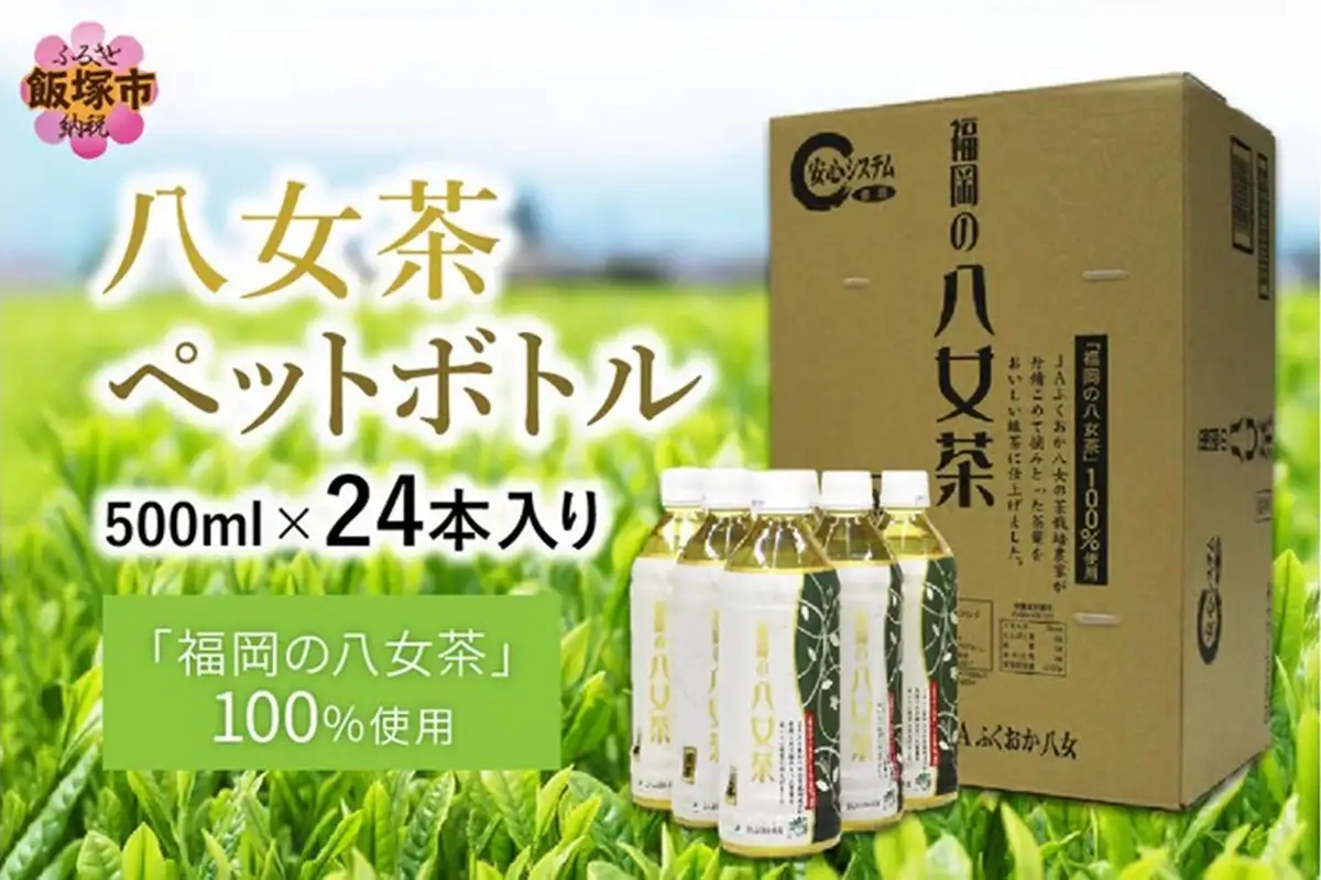 八女茶 煎茶ペットボトル 500ml×24本【A9-026】
