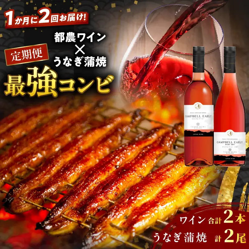 ≪定期便≫＼1か月に2回お届け!!／都農ワイン×うなぎ蒲焼★最強コンビ 酒 飲料 鰻 魚介 国産_T999-0035