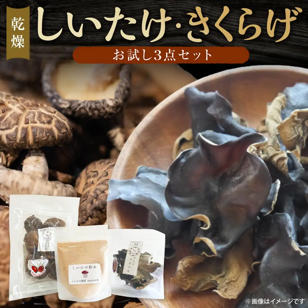 【お試し３点セット】しいたけ・きくらげセット 合同会社knot I-313 炊き込みご飯 だし 乾燥 栄養 美容 ビタミンD 鉄 カルシウム