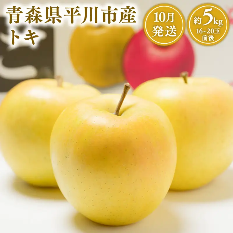 10月発送 トキ 約5kg  [hi-0001-006]