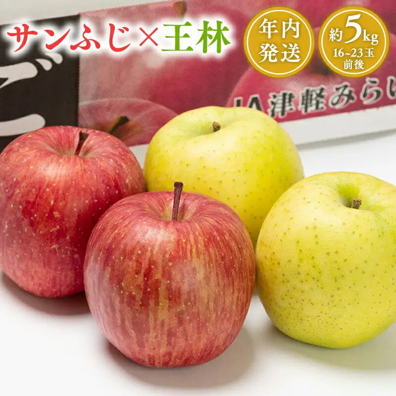 12月発送 サンふじ・王林 詰合せ 約5kg [hi-0001-007]