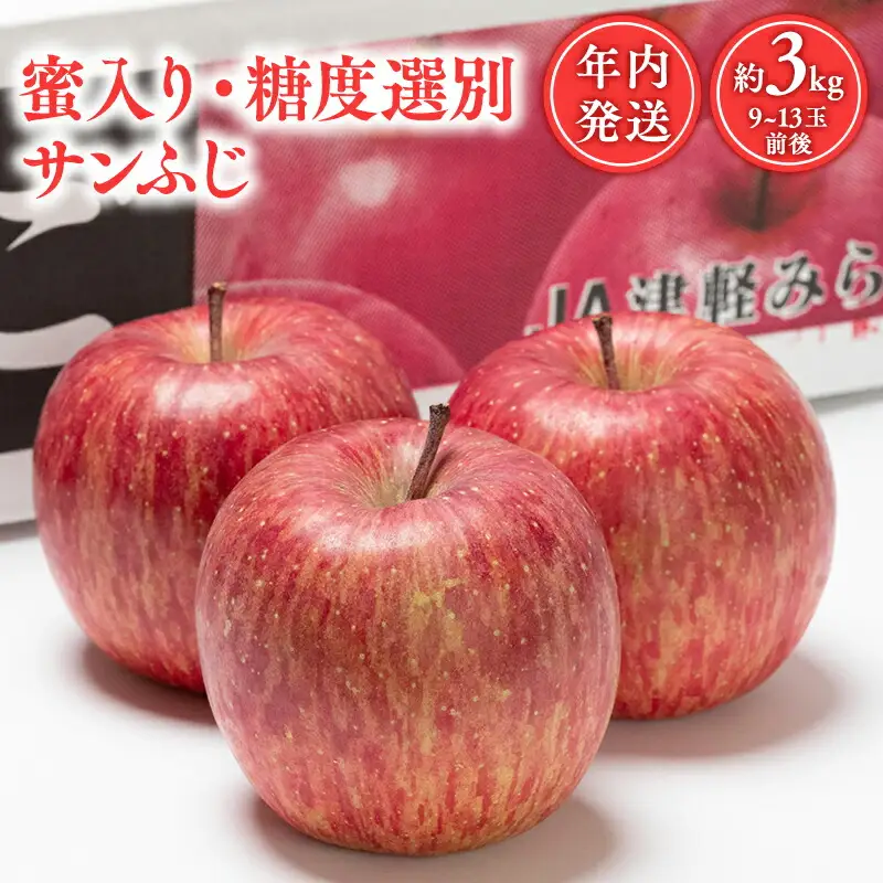 蜜入り 糖度選別サンふじ約3㎏ [hi-0001-009]