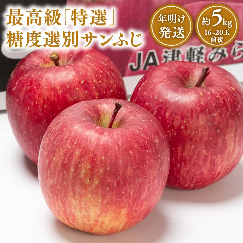  りんご 特選 糖度選別サンふじ 約5kg [hi-0001-029]