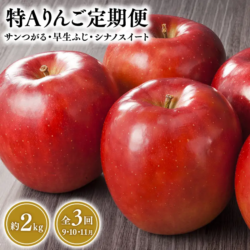 りんご定期便3回 サンつがる・早生ふじ・シナノスイート（各約2kg） [hi-0001-021]