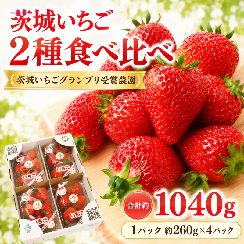 いちご 2種 完熟セット 約1040g 茨城いちごグランプリ受賞農園 