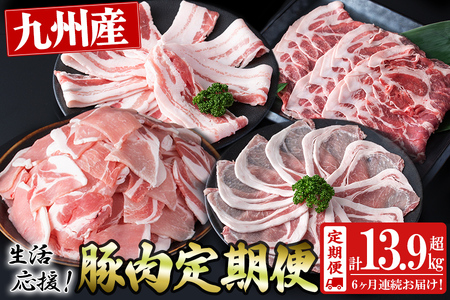 【定期便 全6回】九州産豚肉 生活応援定期便(計13.95kg) 定期便 豚肉 ぶた肉 肉 国産 九州産 切り落とし 切落し 小分け 真空パック チャック付き 野菜炒め 豚丼 カレー t0075-001