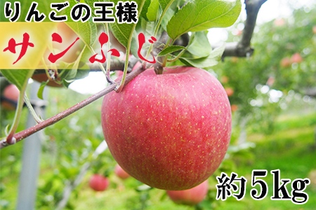 ≪予約受付≫りんごの王様サンふじ（16～20玉）5kg箱入＜訳あり＞ 【541】