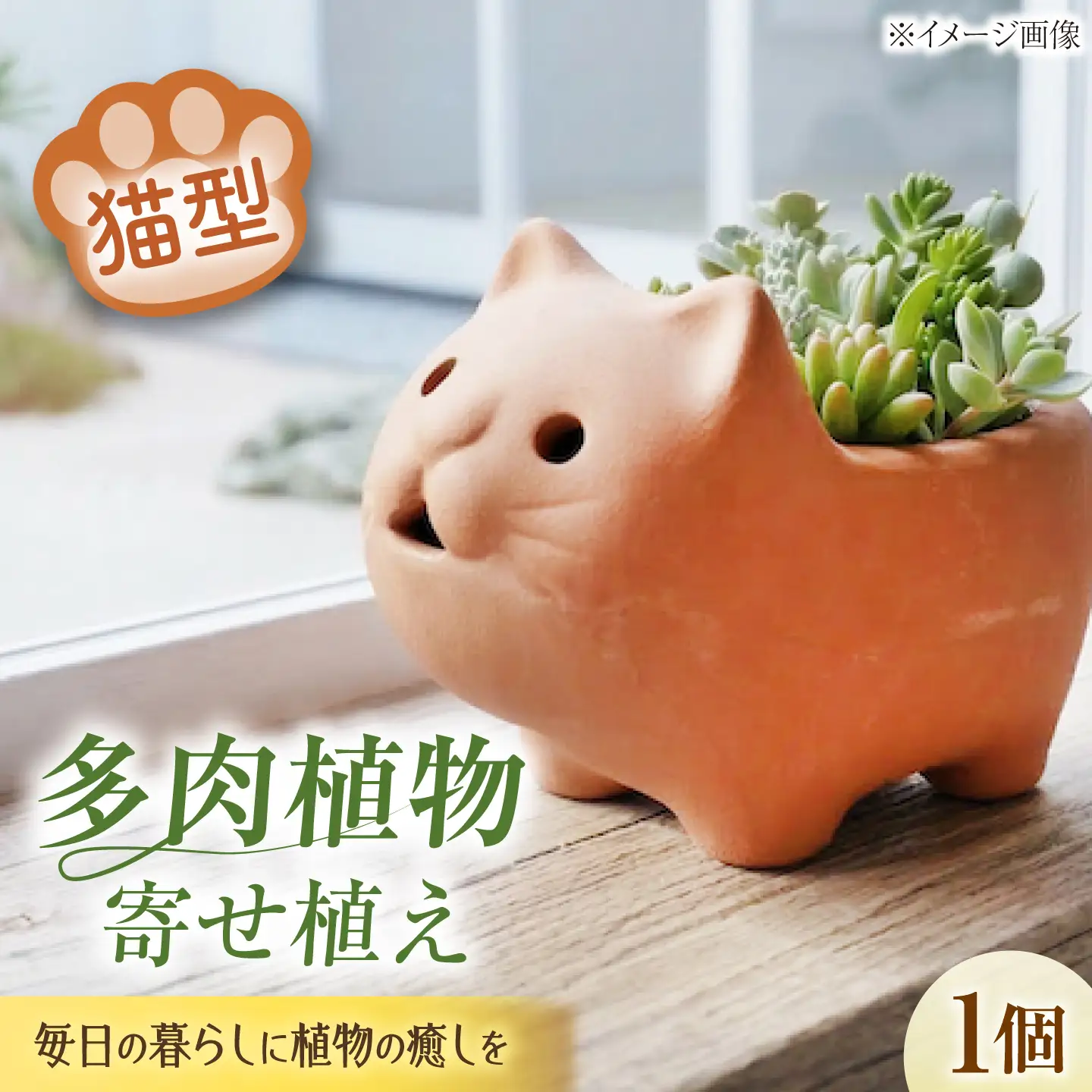 多肉植物 寄せ植え ねこ型 多肉植物 BLAW007