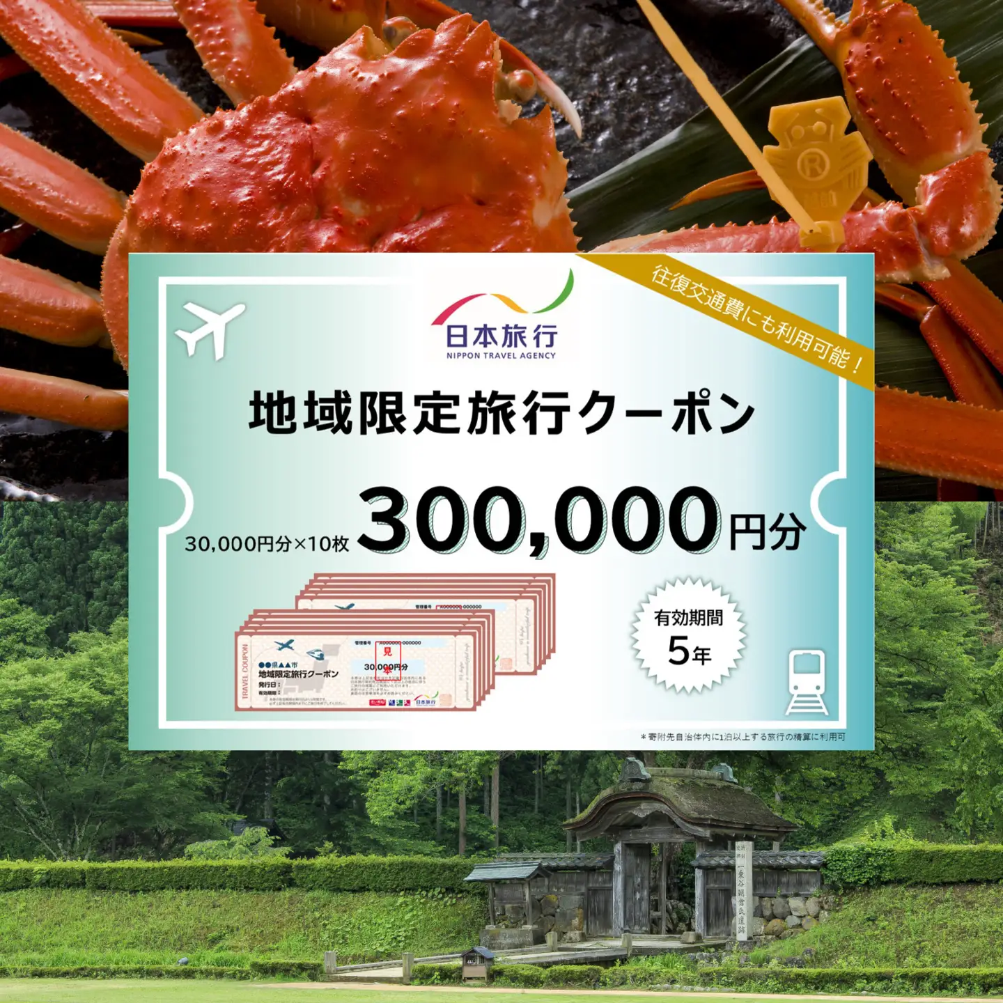 【福井県福井市】日本旅行 地域限定旅行クーポン【300,000円分】[W-158006]