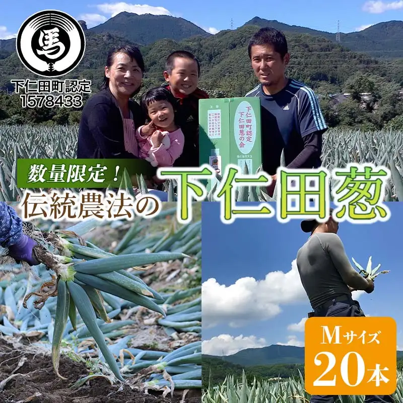 伝統農法の下仁田葱（M 20本） とろける 甘い ねぎ ネギ 王様ねぎ 特産 栄養たっぷり ブランド 上州ねぎ すきやき F21K-573