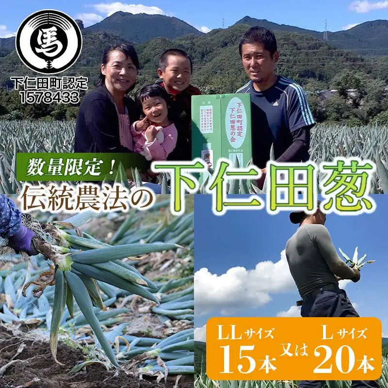 伝統農法の下仁田葱（LL15本またはL20本） とろける 甘い ねぎ ネギ 王様ねぎ 特産 栄養たっぷり ブランド 上州ねぎ すきやき F21K-574
