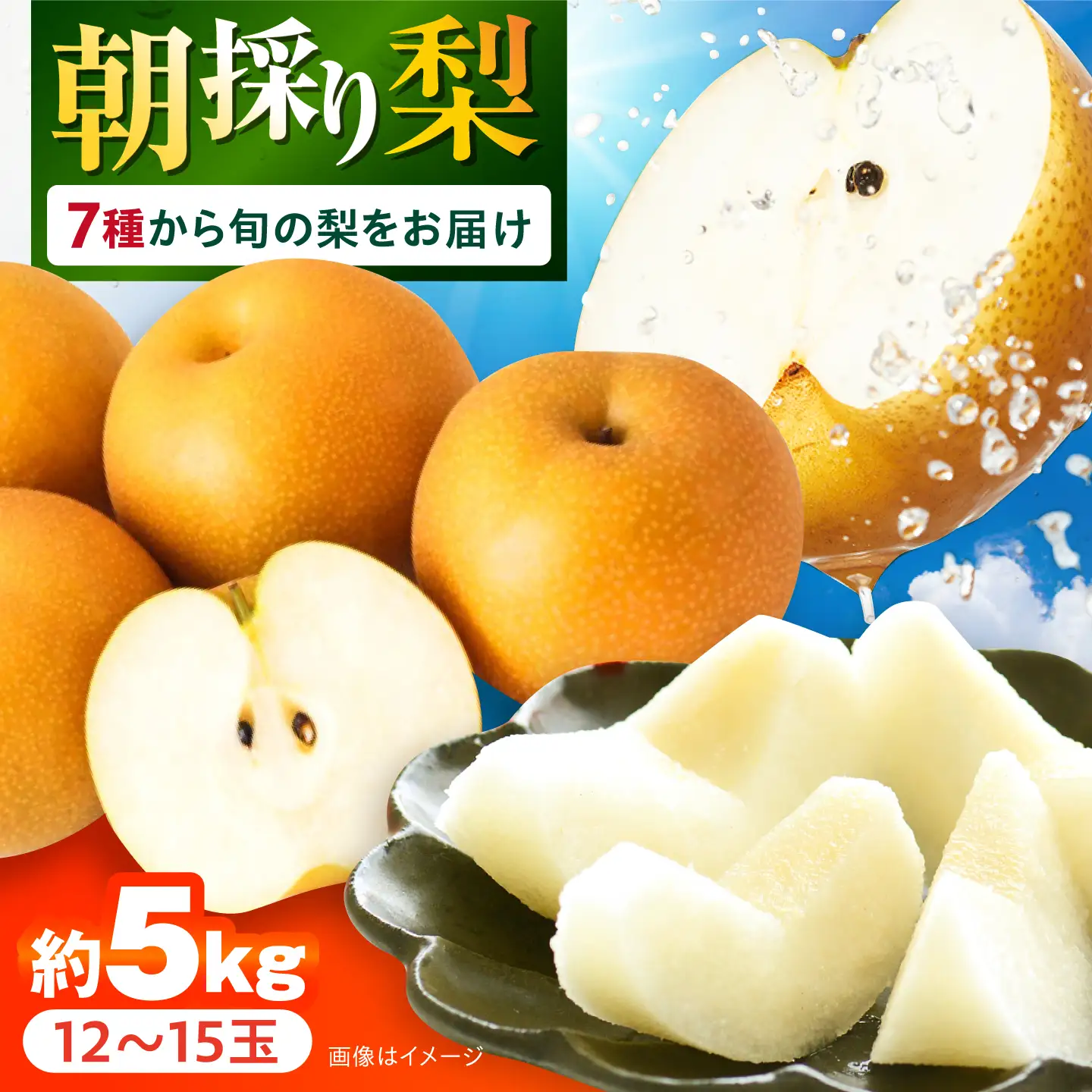 【2026年7月下旬発送】旬の梨 約5kg 梨 [ACZC007]