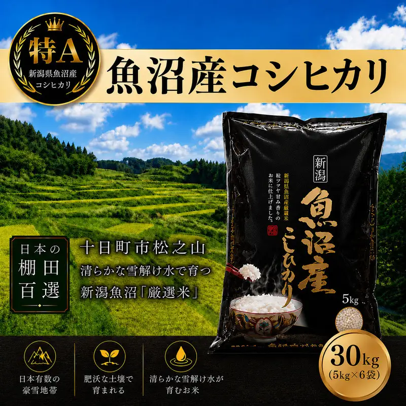 【令和7年産】【食味鑑定士厳選】日本棚田百選のお米　天空の里 魚沼産 こしひかり 30kg(5kg×6)