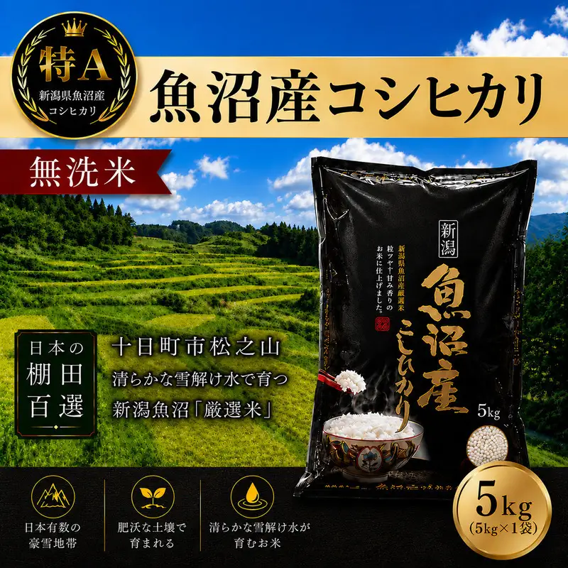 【令和7年産】【食味鑑定士厳選】日本棚田百選のお米 無洗米 天空の里 魚沼産 こしひかり 5kg×1