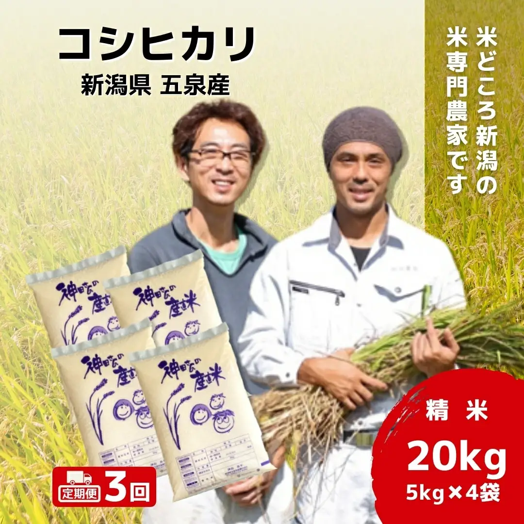 【先行予約】令和8年産米【3回定期便】わくわく農場のコシヒカリ 20kg(5kg×4) | コシヒカリ 白米 米 新潟県産 五泉市