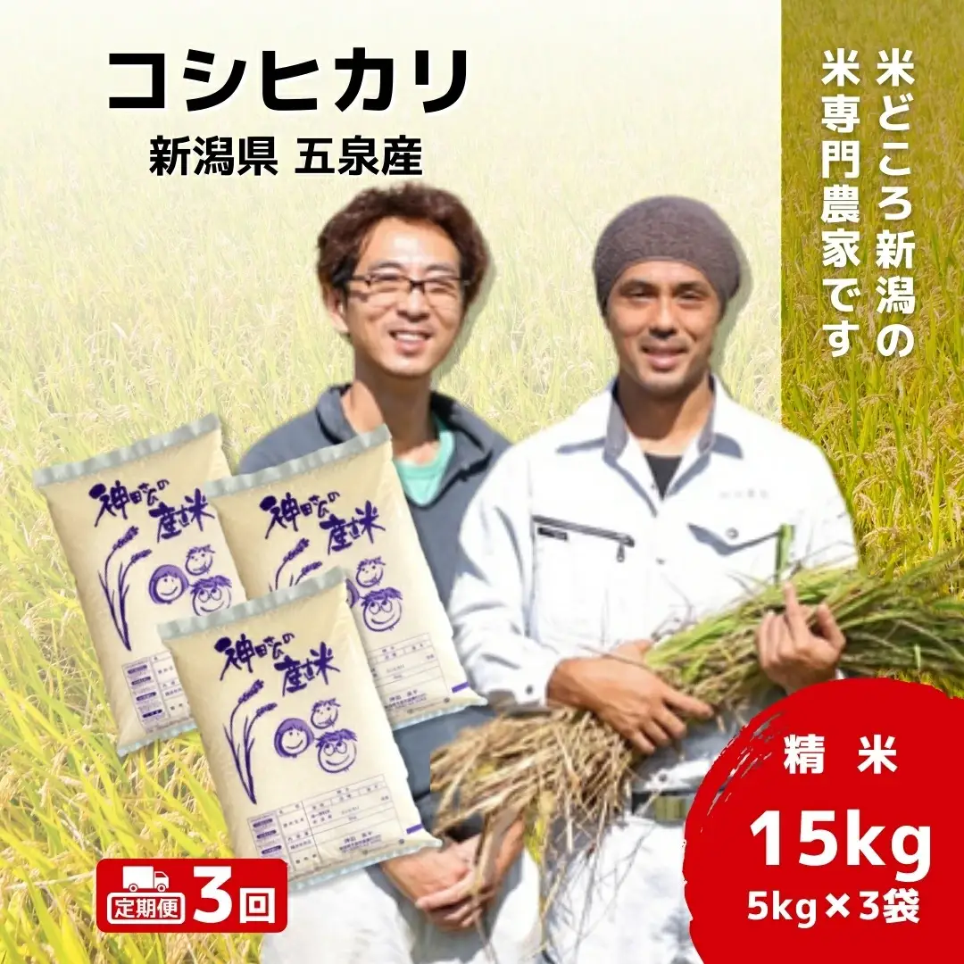 【先行予約】令和8年産米【3回定期便】わくわく農場のコシヒカリ 15kg(5kg×3袋) | コシヒカリ 白米 米 新潟県産 五泉市