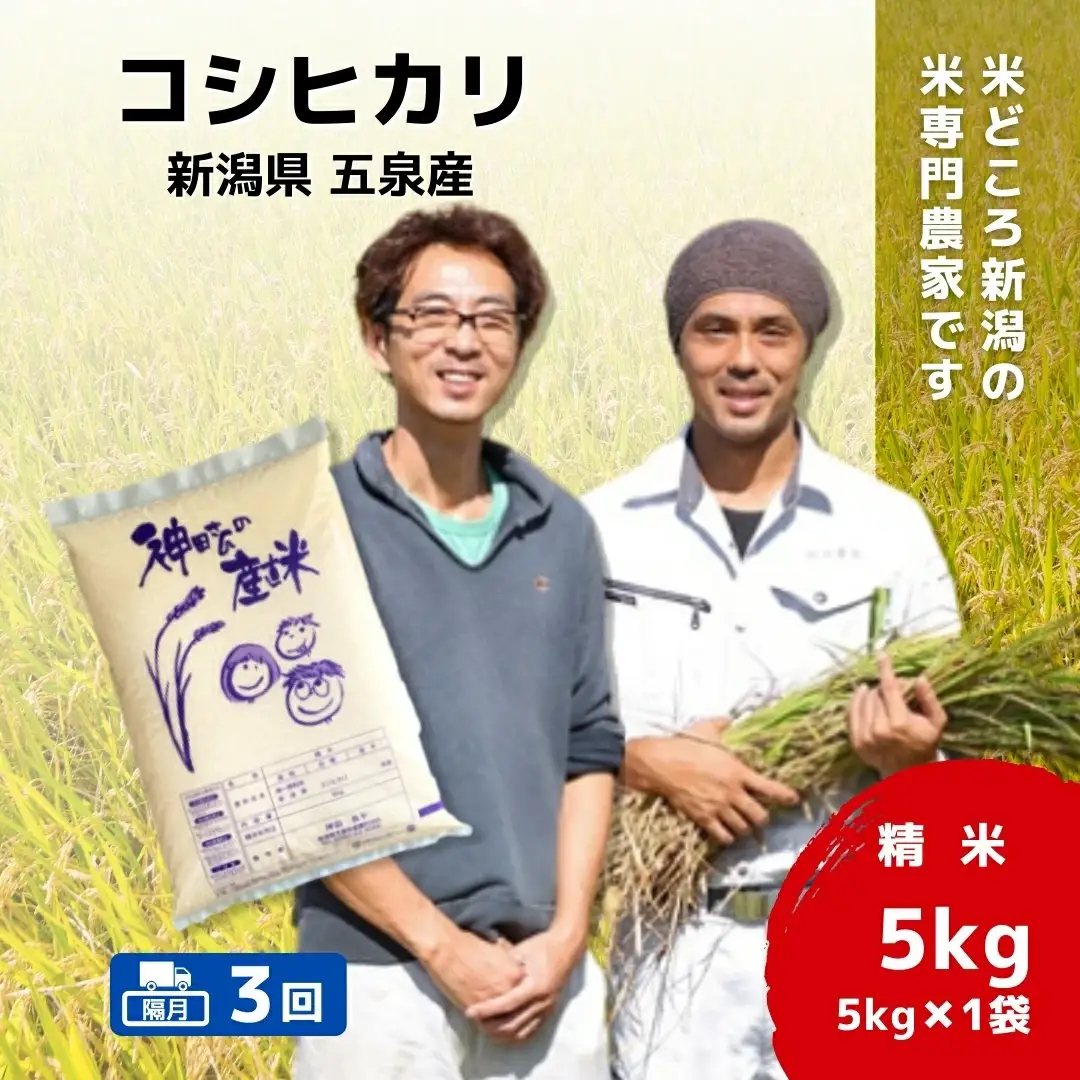 【先行予約】令和8年産米【隔月3回定期便】コシヒカリ 5kg | コシヒカリ 白米 米 新潟県産 五泉市