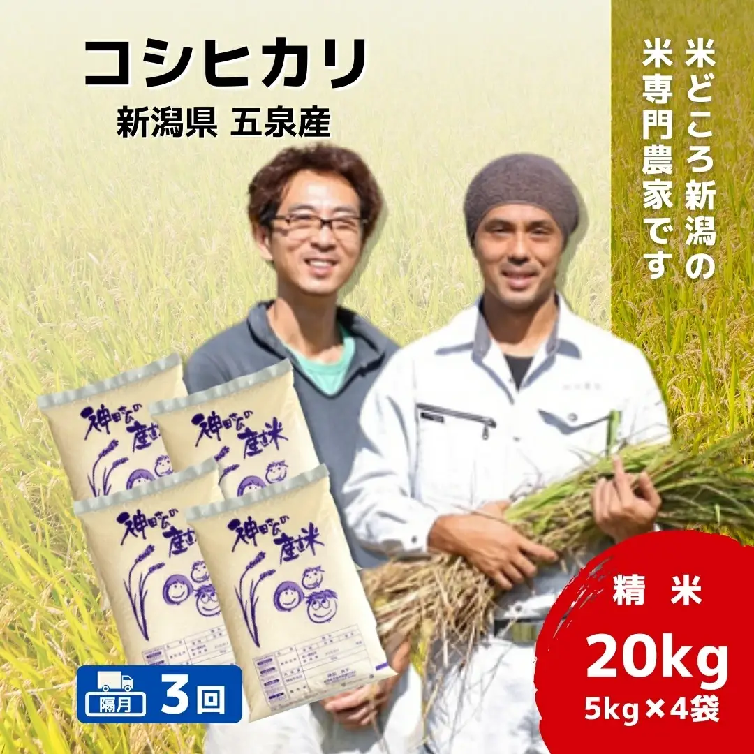 【先行予約】令和8年産米【隔月3回定期便】コシヒカリ 20kg(5kg×4袋) 新潟県産 | コシヒカリ 白米 米 新潟県産 五泉市