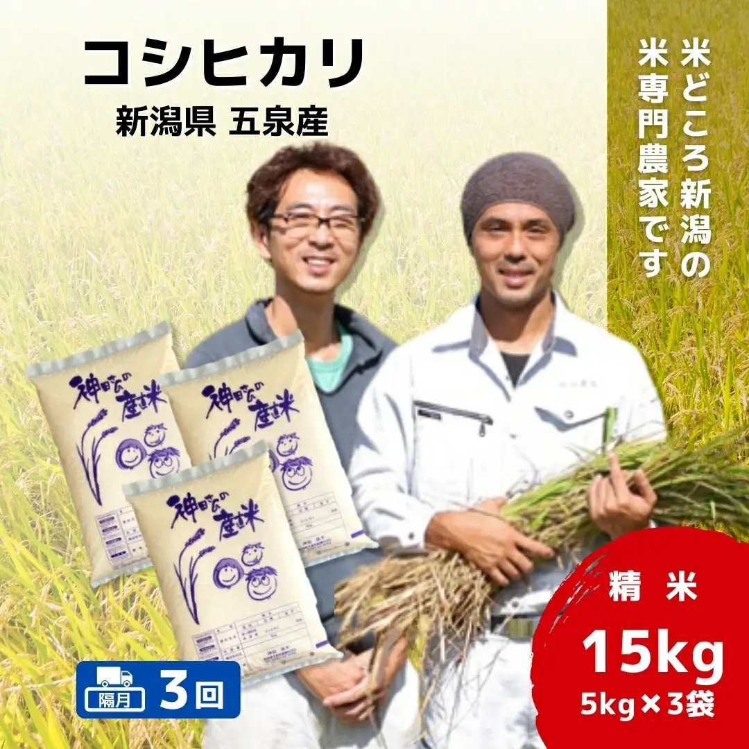 【先行予約】令和8年産米【隔月3回定期便】コシヒカリ 15kg(5kg×3袋) 新潟県産 | コシヒカリ 白米 米 新潟県産 五泉市