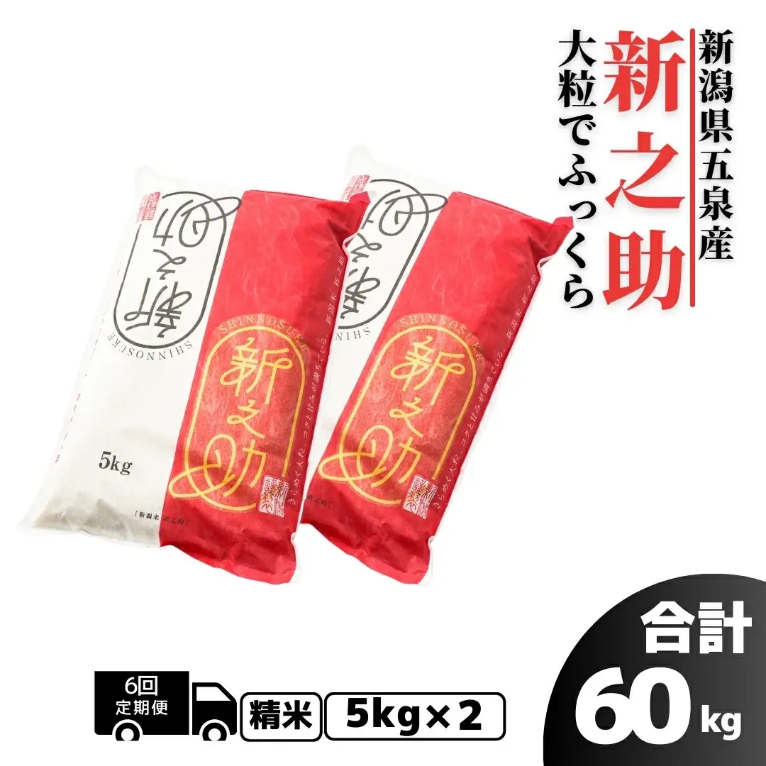 【先行予約】令和8年産米〈6回定期便〉新之助 10kg（5kg×2袋） | 新潟県 新之助