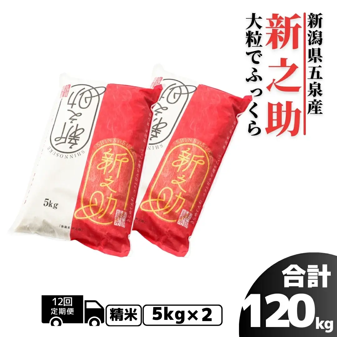 【先行予約】令和8年産米〈12回定期便〉新之助 10kg（5kg×2袋） | 新之助
