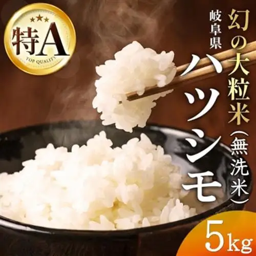 令和7年産　岐阜県産ハツシモ(無洗米)5kg  国産 米_ 無洗米 米 こめ コメ_【配送不可地域：離島】【1540849】