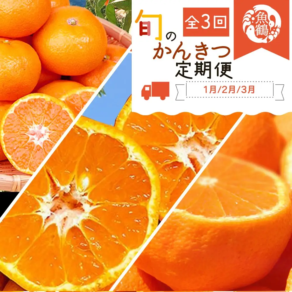 【全3回】みかん 柑橘定期便 みかん・不知火・せとか【tkb382】