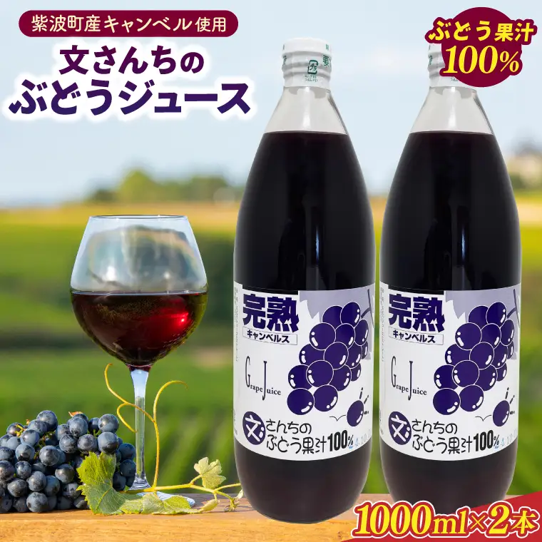 文さんちの完熟ぶどうジュース 1000ml×2本(EH001) ジュース