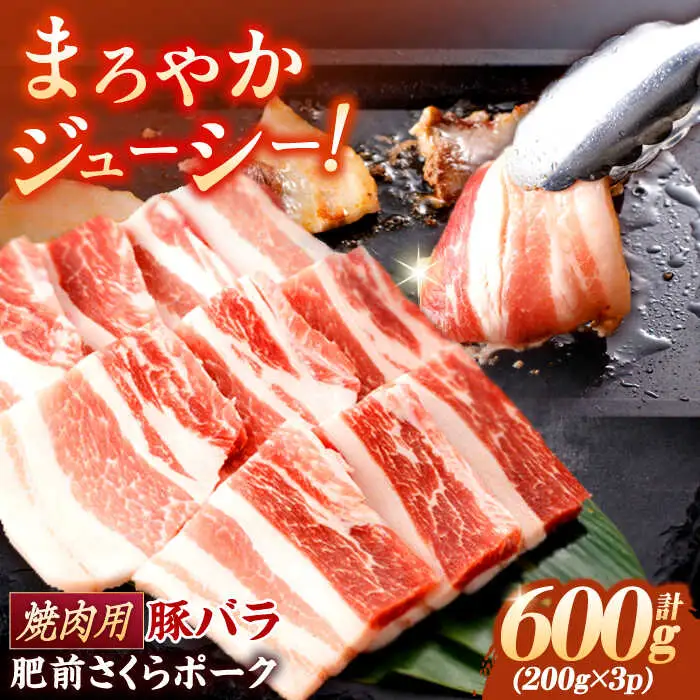 豚肉 焼肉用 計600g NAC501 豚肉