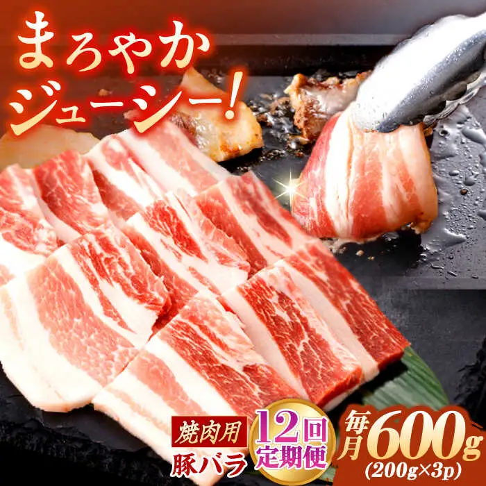 【定期便】 豚肉 焼肉用 総計7.2kg NAC603 豚肉 全12回