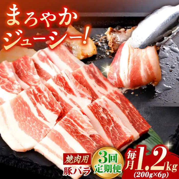 【定期便】 豚肉 焼肉用 総計3.6kg NAC604 豚肉 全3回