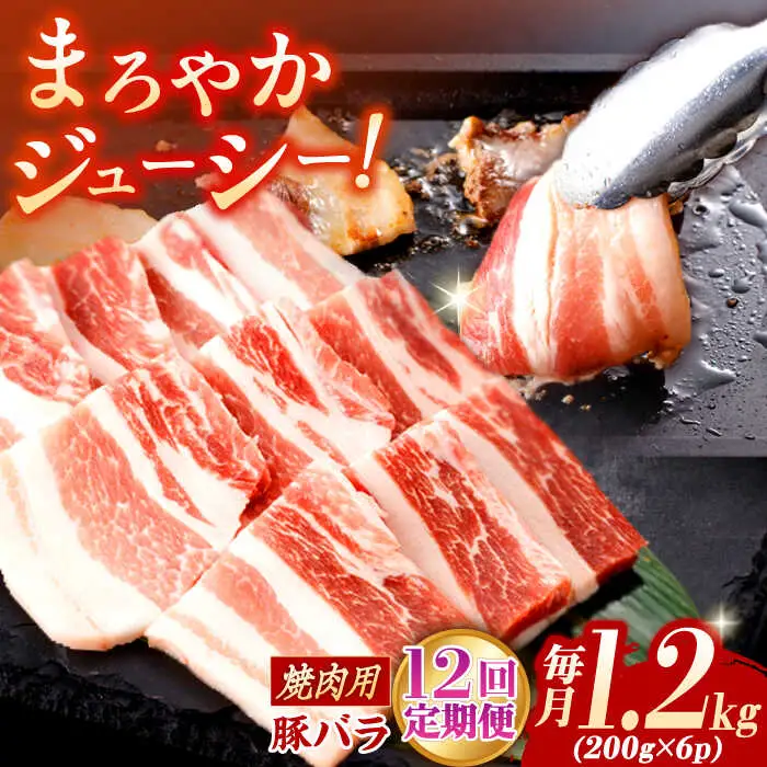 【定期便】 焼肉用 豚バラ肉 総計14.4kg NAC606 豚肉 焼肉 全12回