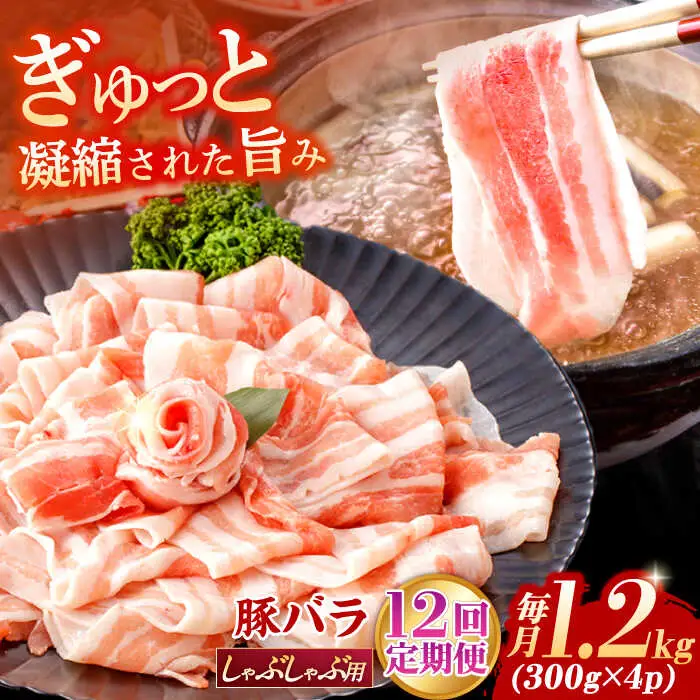 【定期便】 豚肉 しゃぶしゃぶ用 総計14.4kg NAC612 豚肉 全12回