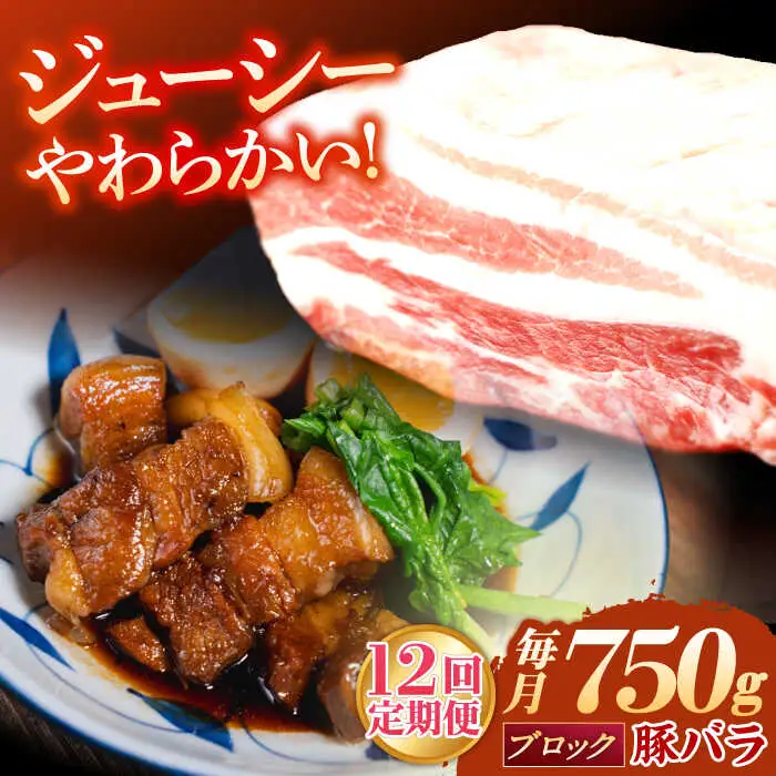 【定期便】 豚肉 ブロック 総計9kg NAC615 豚肉 全12回