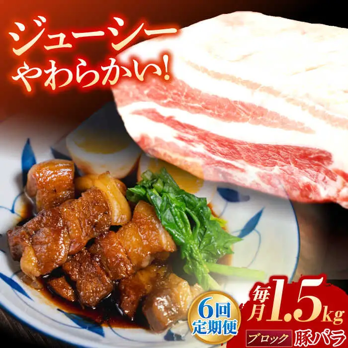 【定期便】 豚肉 ブロック 総計9kg NAC617 豚肉 全6回