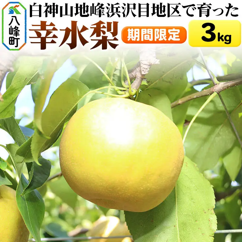 梨 幸水 3kg【期間限定】 白神山地峰浜沢目地区で育った和梨 秋田県八峰町産 おらほの館 先行受付