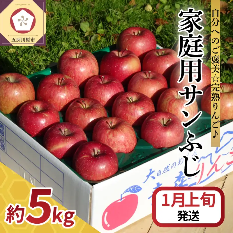 【ふるなび限定】【2027年1月上旬発送】 りんご 約5kg サンふじ【家庭用】青森県産 りんご FN-Limited-SP