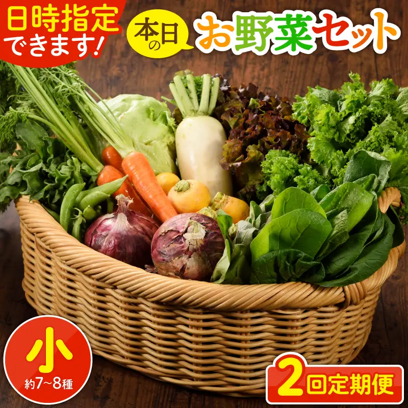 【２回定期便】日時指定OK！本日のお野菜セット （小サイズ/約8～10種） / 野菜 朝どれ 有機栽培 産地直送 新鮮 旬 詰め合わせ サラダ 果物 きのこ類 やさい 送料無料 【オーガニックのまち 宮崎県綾町】_A0053-002
