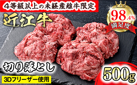 近江牛 切り落とし 500g 森三商会 【GM14W】 ロース 肩ロース ウデ モモ バラ 近江牛 切り落とし