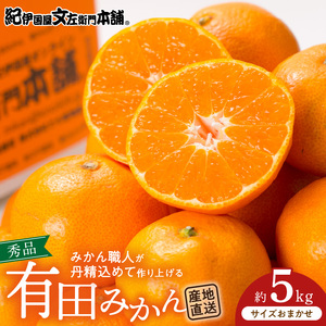 【2026年先行予約】ブランド有田みかん 秀品5kg【サイズおまかせ】／産地直送／薄皮で甘い美味しい和歌山県産／紀伊国屋文左衛門本舗（お届け日指定不可）_V7438