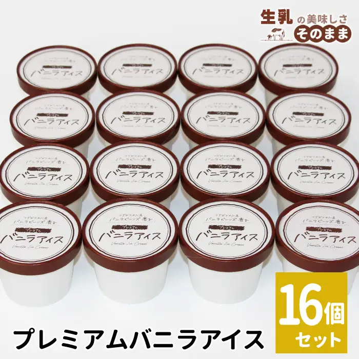 〈スピード発送〉マダガスカル産 バニラビーンズを使用した 濃厚バニラアイスクリーム 16個入り 根羽村 ネバーランド 12000円
