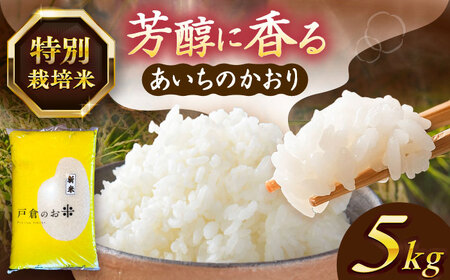 あいちのかおり 白米 5kg [AECS001-08] 国産米 国産