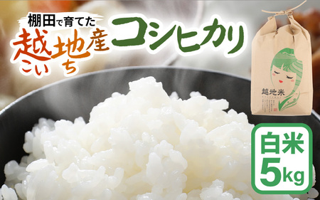 【先行予約】【令和7年産 新米】越地 (こいち) 産 コシヒカリ (白米) 計5kg 【2025年9月中旬以降順次発送予定】[m24-a010]