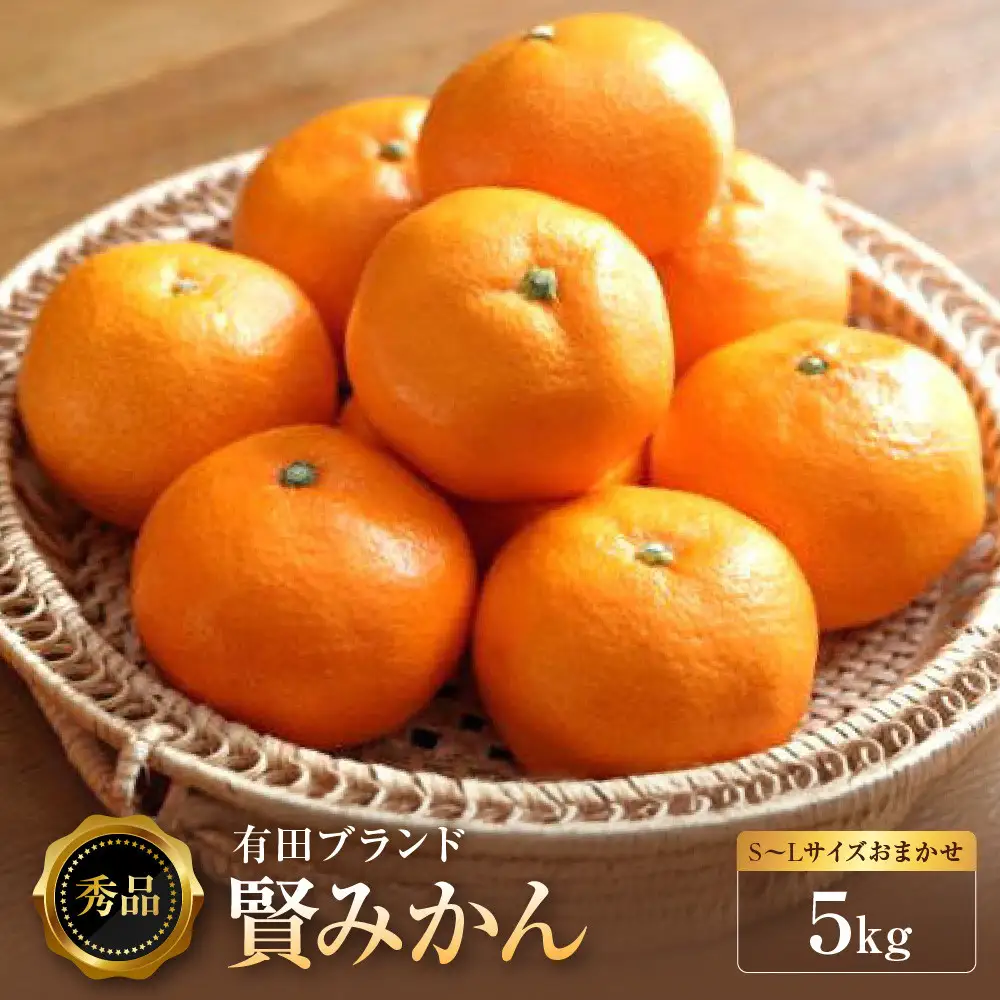［秀品］有田のブランドみかん「賢みかん」5kg（サイズおまかせ）［2026年11月中旬頃より順次発送］