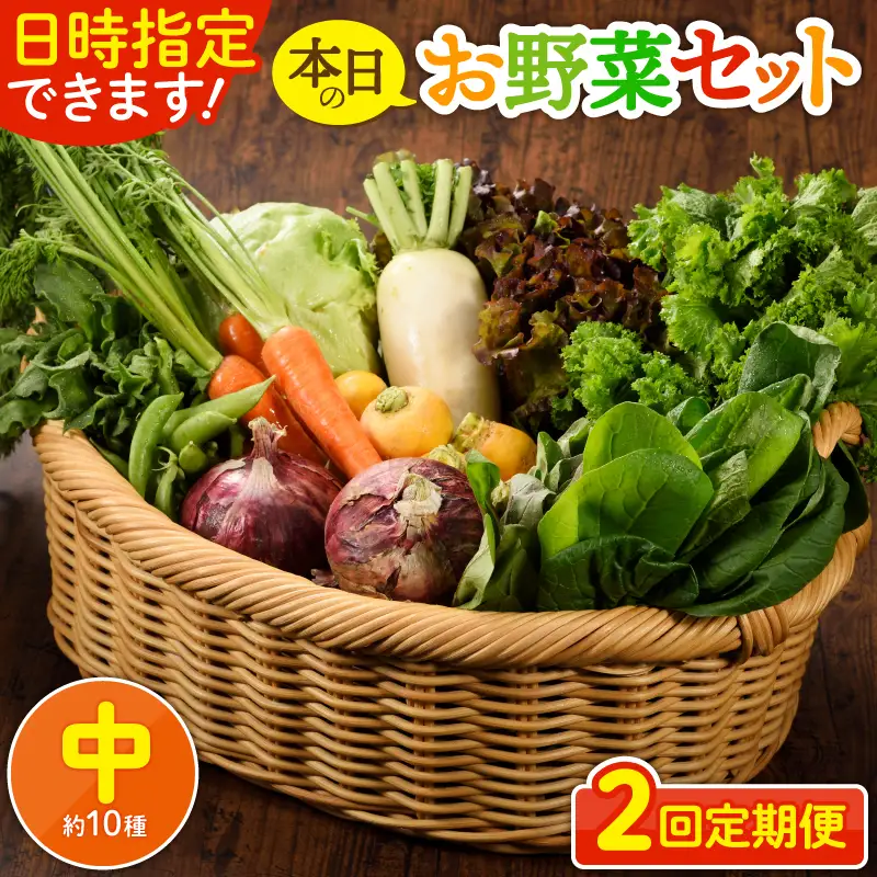 【２回定期便】日時指定OK！本日のお野菜セット （中サイズ/約11～13種） 2～3人用 / 野菜 朝どれ 有機栽培 産地直送 新鮮 旬 詰め合わせ サラダ 果物 きのこ類 やさい 送料無料 定期便 2ヶ月【オーガニックのまち 宮崎県綾町】_A0053-006
