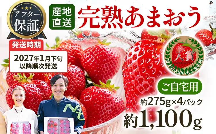 いちご あまおう 約275g×4P R9年1月下旬以降発送 いちご