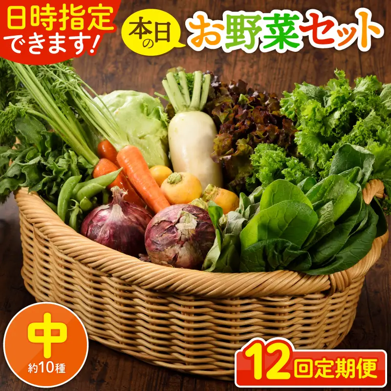 【12回定期便】日時指定OK！本日のお野菜セット （中サイズ/約11～13種） 2～3人用 / 野菜 朝どれ 有機栽培 産地直送 新鮮 旬 詰め合わせ サラダ 果物 きのこ類 やさい 送料無料 定期便 12ヵ月 【オーガニックのまち 宮崎県綾町】_A0053-008
