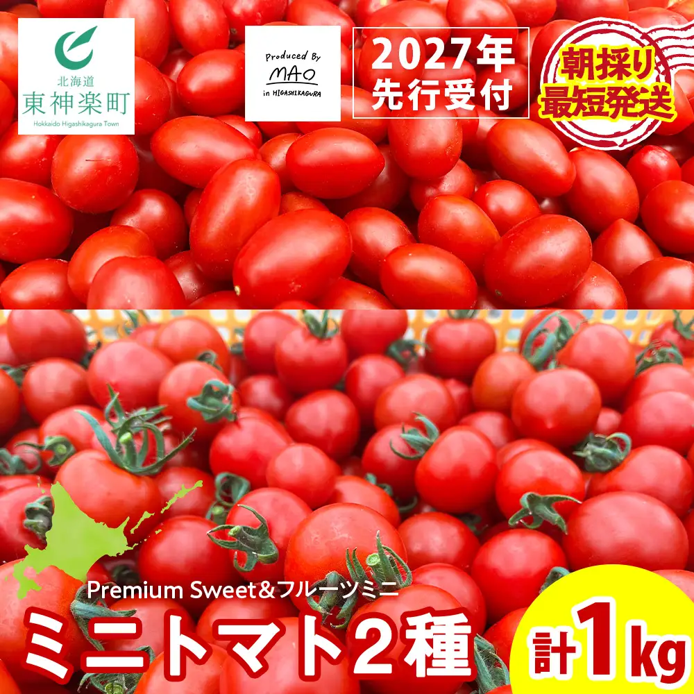 【2027年先行予約】朝採りPremium Sweet ＆フルーツミニ ミニトマト 1kg